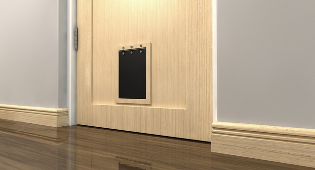 Cat Flap Installation Upper Edmonton, N18