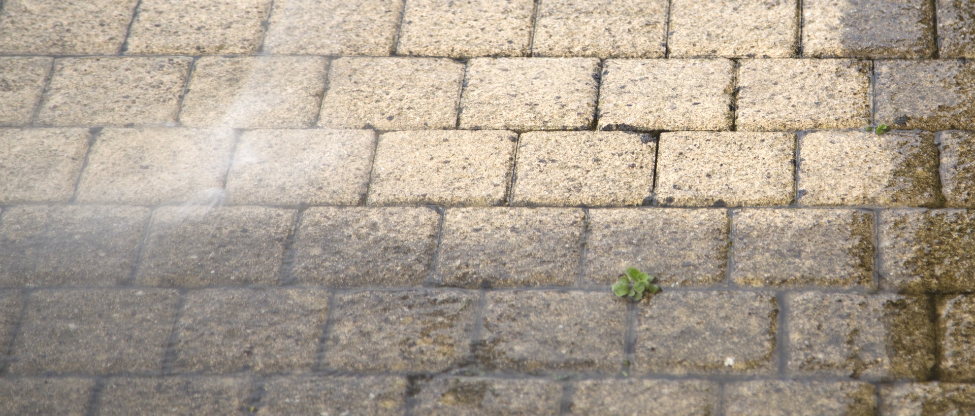 flagging and patios N18