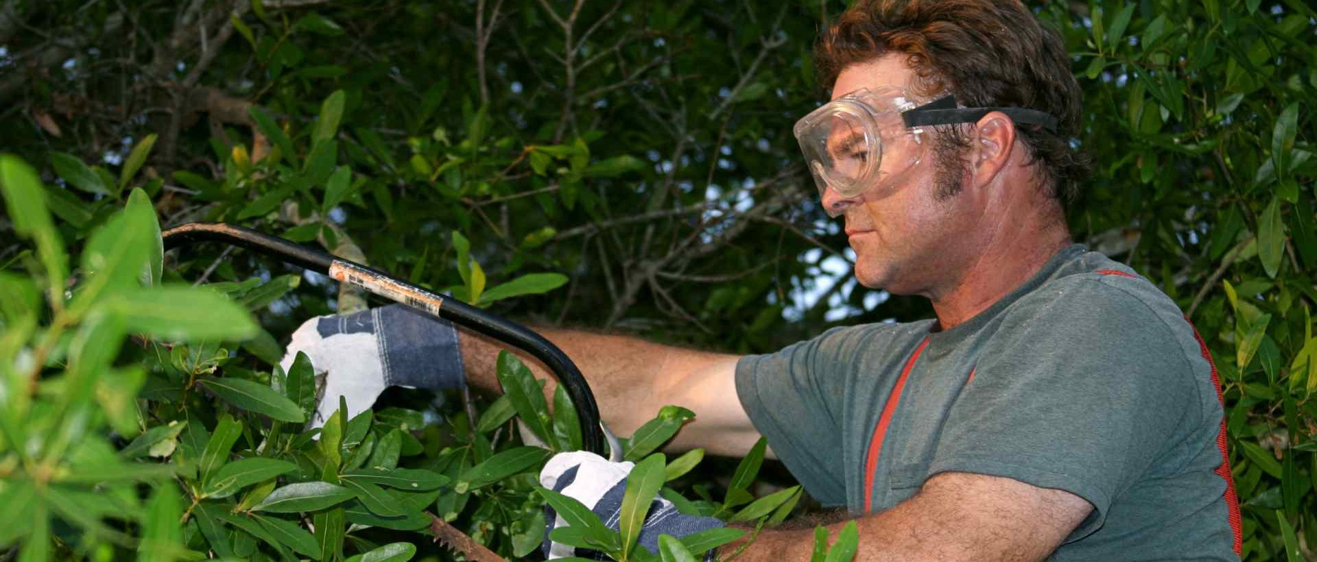 garden clearance N18